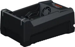 No alt text available