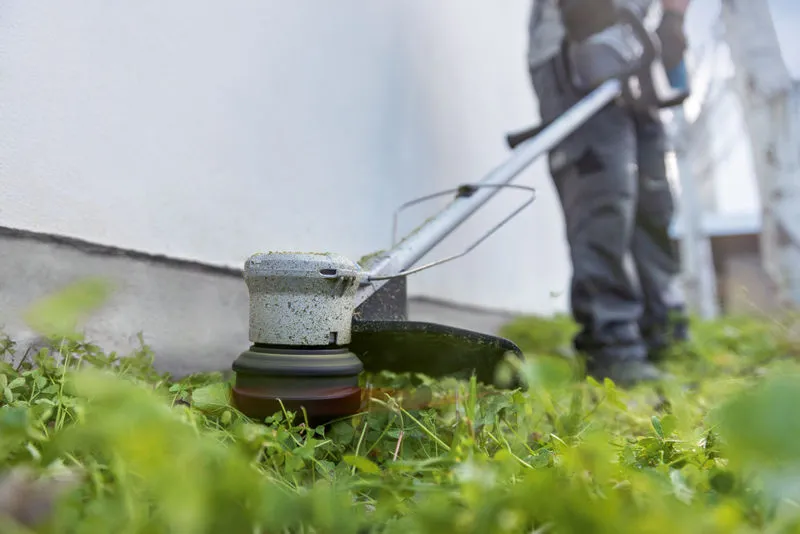 Seseorang yang mengenakan peralatan keselamatan memangkas rumput di sepanjang dinding menggunakan pemangkas rumput tanpa kabel.