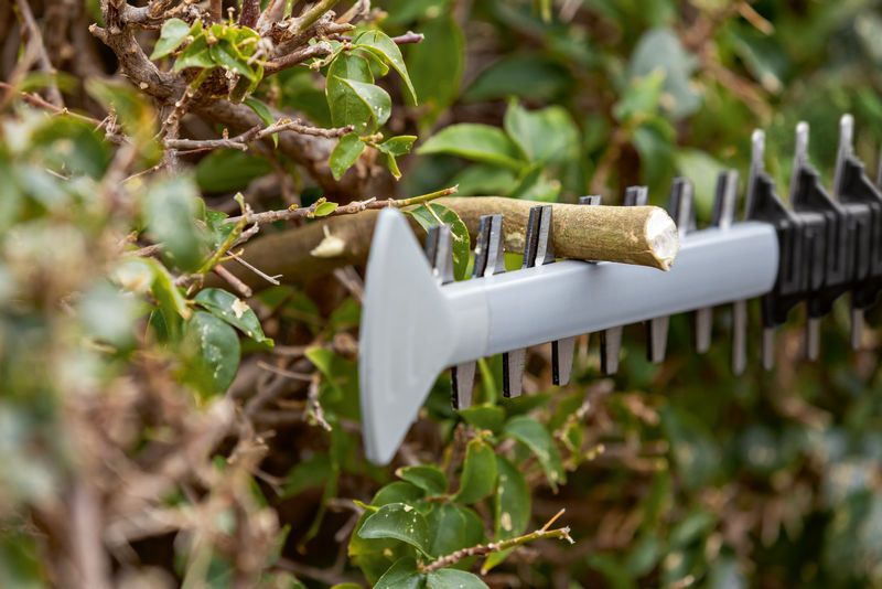 Pisau pemangkas pagar memotong cabang tebal di antara dedaunan hijau lebat.