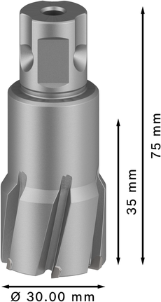 Pemotong Annular TCT Bosch PRO Metal 30 x 35 x 75 mm.