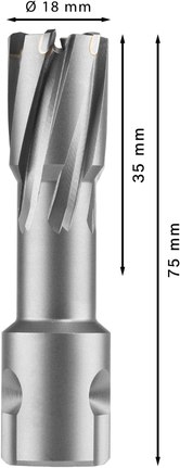 Pemotong Annular TCT Bosch PRO Metal 18 x 35 x 75 mm.