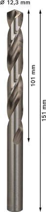 Mata Bor Puntir PRO Metal HSS-G Panjang Standar, 12,3 x 101 x 151 mm, 5 buah Mata bor putar Bosch PRO Metal HSS-G 12,3 mm.