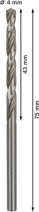 Mata Bor Puntir PRO Metal HSS-G Panjang Standar, 4 x 43 x 75 mm, 10 buah Mata bor putar Bosch PRO Metal HSS-G 4 mm 75 mm.