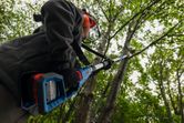 Seseorang yang mengenakan peralatan keselamatan memangkas cabang-cabang pohon dengan alat listrik yang dapat diperpanjang.