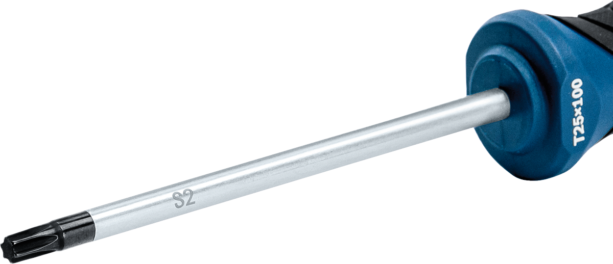 Obeng Bosch TX25x100 poros S2.
