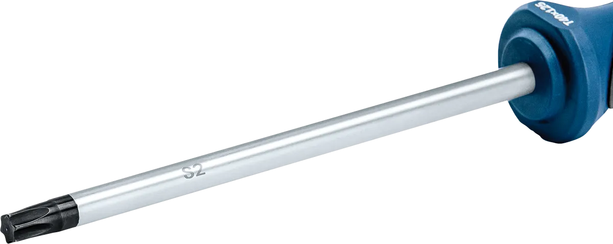 Obeng TX40x125 mm Professional