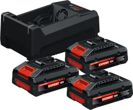 Charger Bosch dengan tiga baterai.
